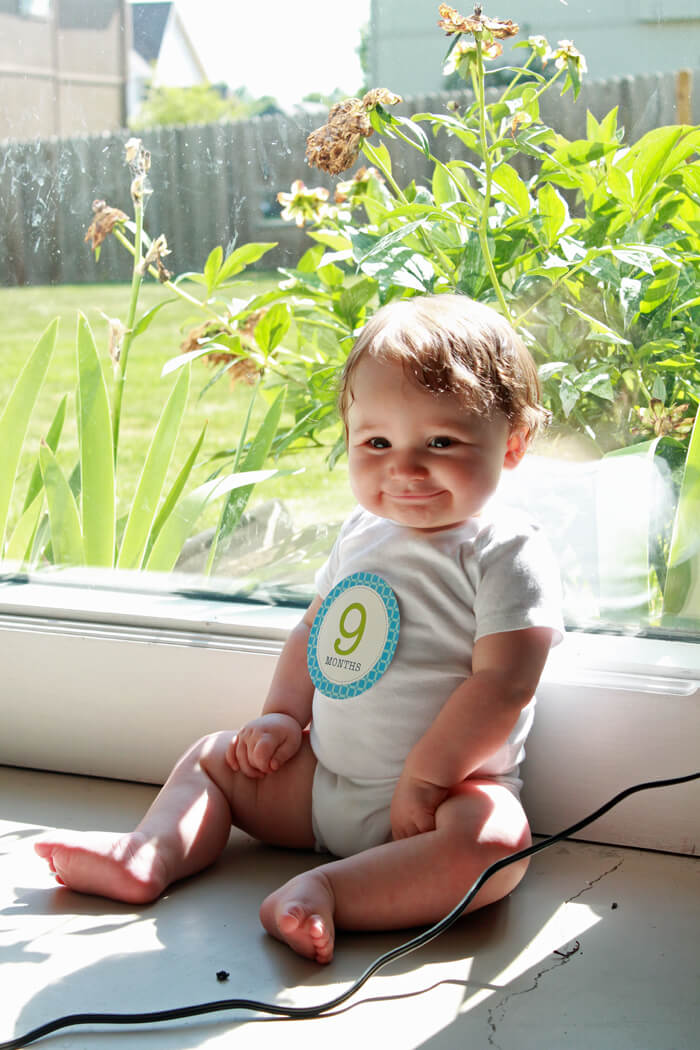 graham 9 mo window