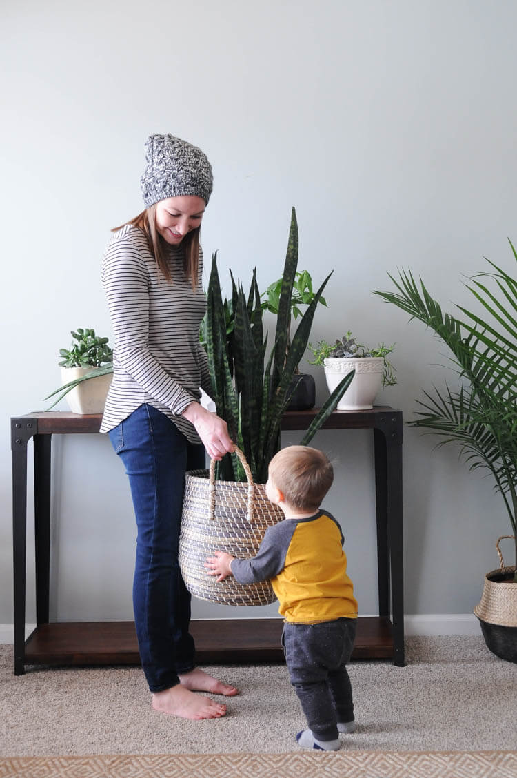 Houseplants for beginners: a list of the easiest houseplants and how to care for them.