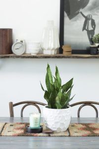 Creating Calm at Home with Chesapeake Bay Candles | My Breezy Room