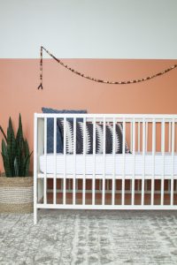 Gender Neutral Nursery: Modern Color Block Room