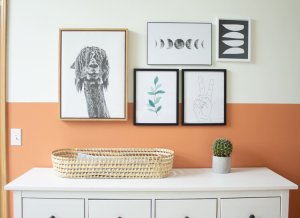 Gender Neutral Nursery: Modern Color Block Room