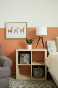 Gender Neutral Nursery: Modern Color Block Room