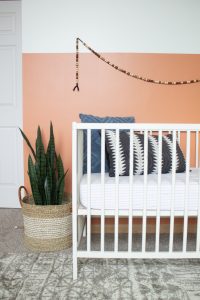 Gender Neutral Nursery: Modern Color Block Room