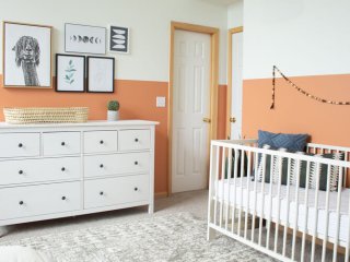 Gender Neutral Nursery: Modern Color Block Room