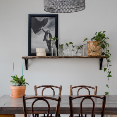 Simple shelf decorating idea: Propagated pothos in various sized jars/vases