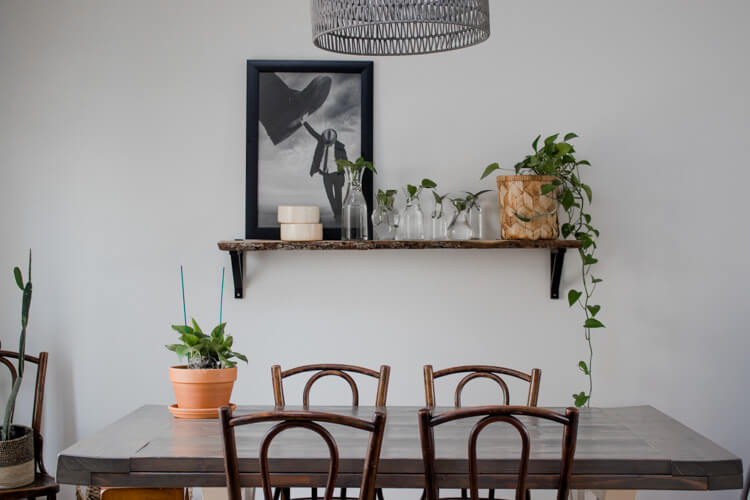 Simple shelf decorating idea: Propagated pothos in various sized jars/vases