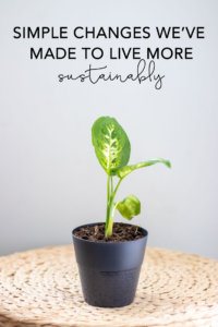 Simple changes we made to live more sustainably | My Breezy Room