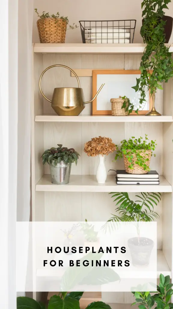 Easy-Care Indoor Plants: Your Gateway to Indoor Gardening Bliss 🪴🌟

Unleash your inner plant parent! Explore our curated list of low-maintenance indoor plants that bring the beauty of nature to your space without the stress. From succulents to snake plants, find the perfect green companions for your lifestyle. Ready to turn your home into a lush oasis? 🌵🌿 #IndoorGardening #PlantParenting101