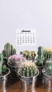 20+ plant themed January 2022 calendar wallpapers - instant download!