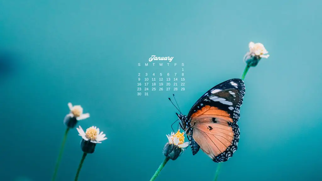 12 Free January 2022 Computer Backgrounds: Butterfly Calendars