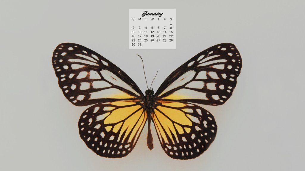 12 Free January 2022 Computer Backgrounds: Butterfly Calendars