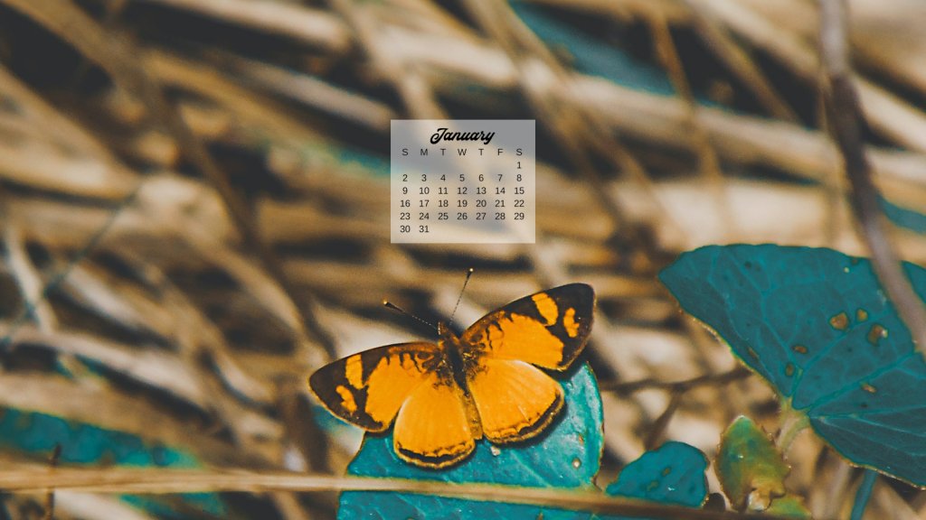 12 Free January 2022 Computer Backgrounds: Butterfly Calendars