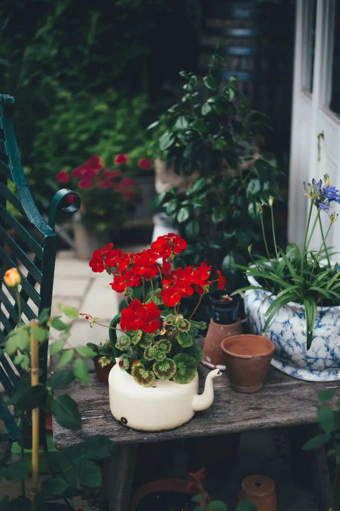 Regarding outdoor planters, one has many choices for a suitable vessel. Learn more about what might work best for you and your plants.