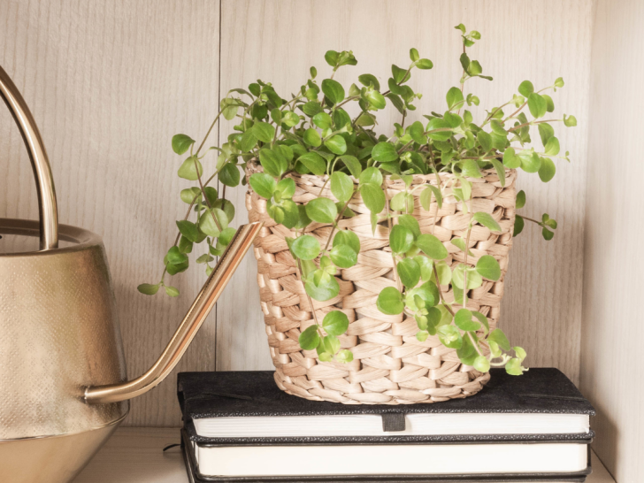 Summer Shelf Styling Ideas: What to Swap Out and What to Keep
